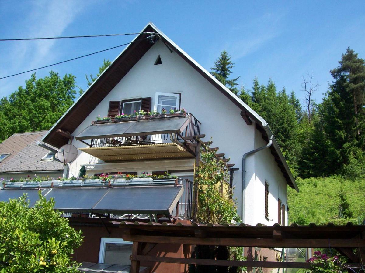 Riedl Gaestewohnung Klagenfurt am Woerthersee Buitenkant foto
